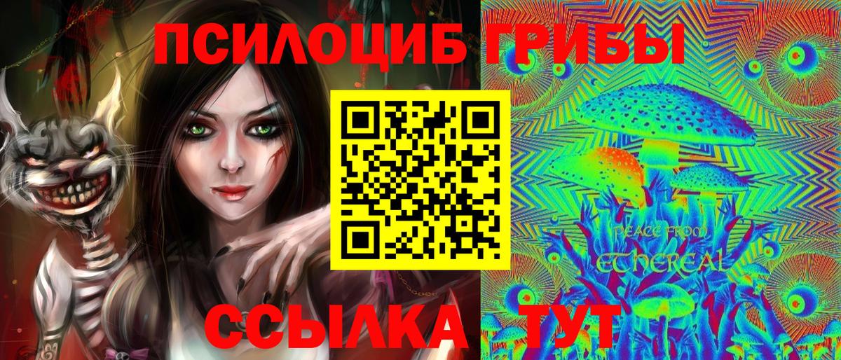 Лесозаводск  Псилоцибиновые грибы Cubensis  Вход с VPN 